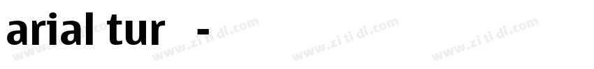 arial tur 粗体字体转换